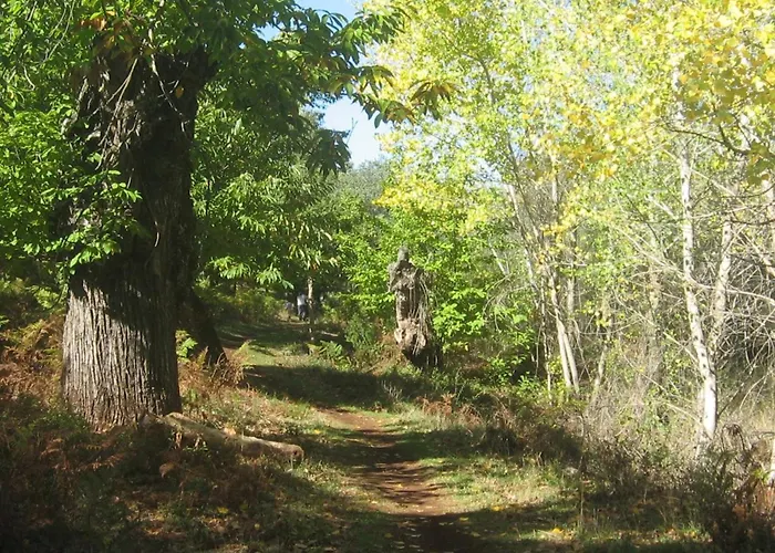 Finca La Tejonera