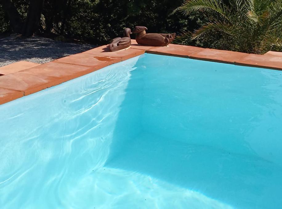 La Tejonera Chalet