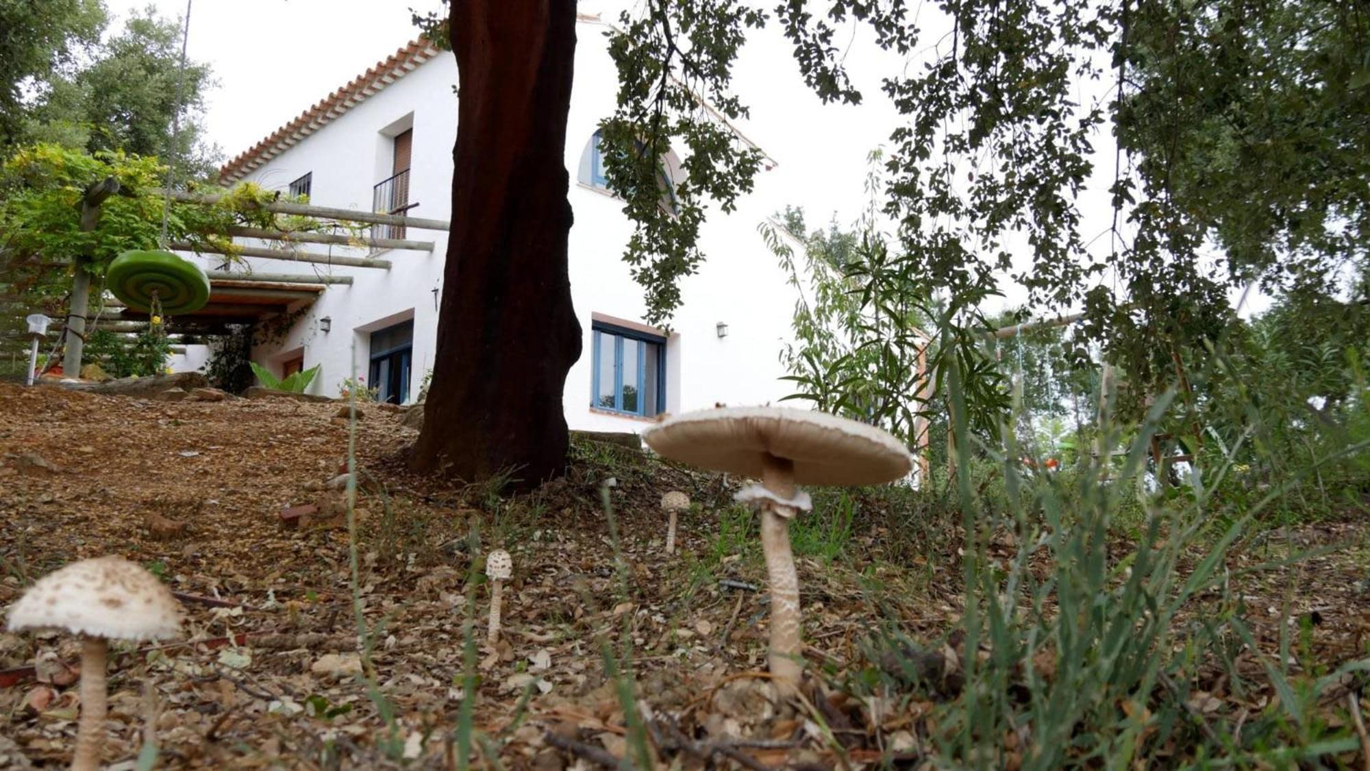 La Tejonera Chalet *